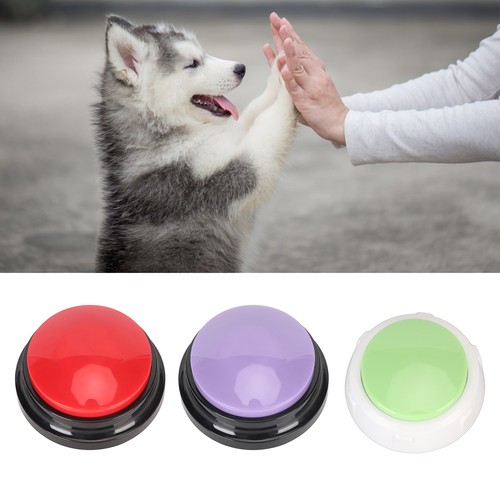 Dog communication buttons - dog,