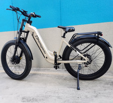 All Terrain Electric Bike 48V