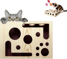 Cat Scratch Puzzle Enrichment