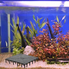  5 Pcs Aquarium Condensation