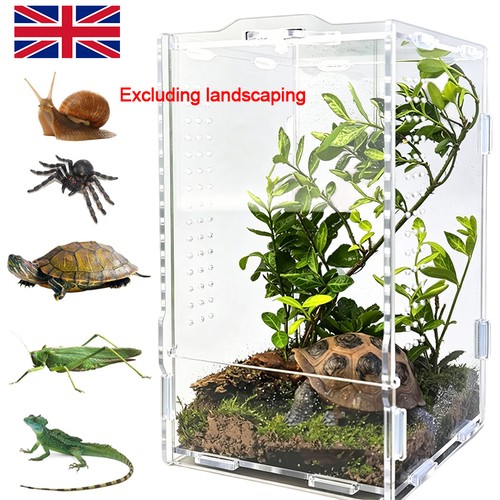 Jumping spider enclosure - spider,