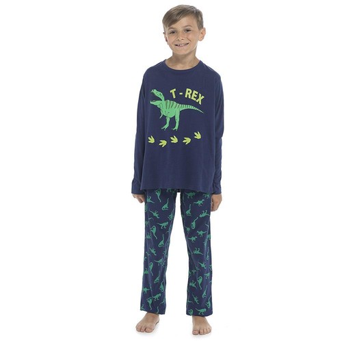Kids boys rex pyjamas - rex,