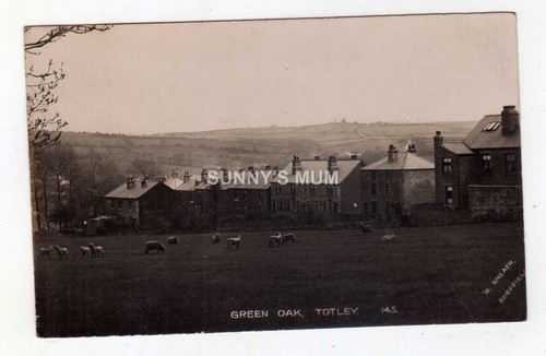Yorkshire sheffield totley - yorkshire,,