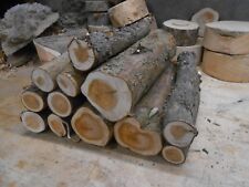 Fully seasoned english yew logs,each log picked for you by a pro woodturner!