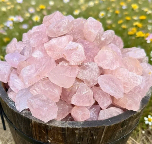 New 10pcs natural - new, rose