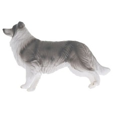  Border Collie Model Child Dog