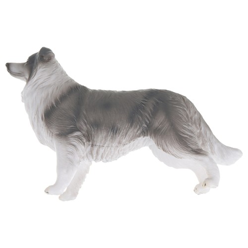 Border collie model child - model,