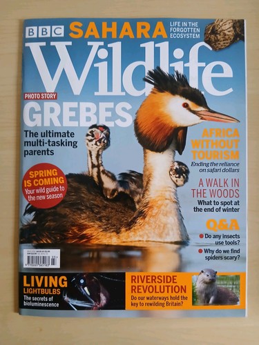 Bbc wildlife march - bbc,