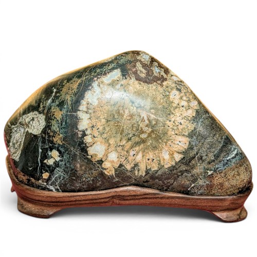 Suiseki flower stone viewing - suiseki,