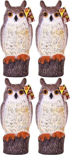 The big cheese owl - 4x,