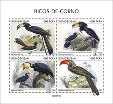 HORNBILLS Hornbill Birds/Bird