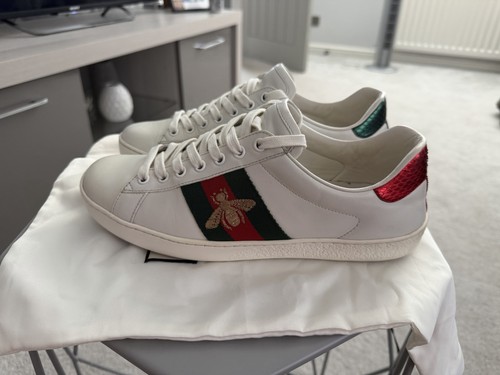 Gucci ace 7 - ace,