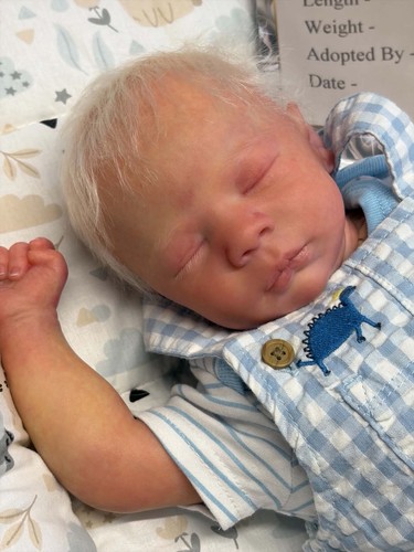 Realborn dominic reborn 2nds - dominic,