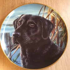 The Franklin Mint " Mans Best