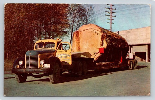 Vintage 1959 logging truck - 1959,