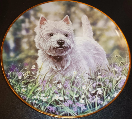 Danbury mint the - the, bluebell