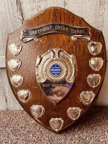 Big trophy shield 12 - 🏆, 12”