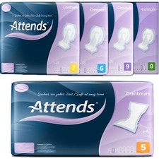 Attends Contours  Regular