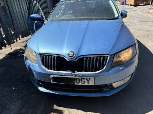 2013 2016 skoda - 2013-2016,