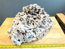 Live Marine Rock 5.4kg massive piece