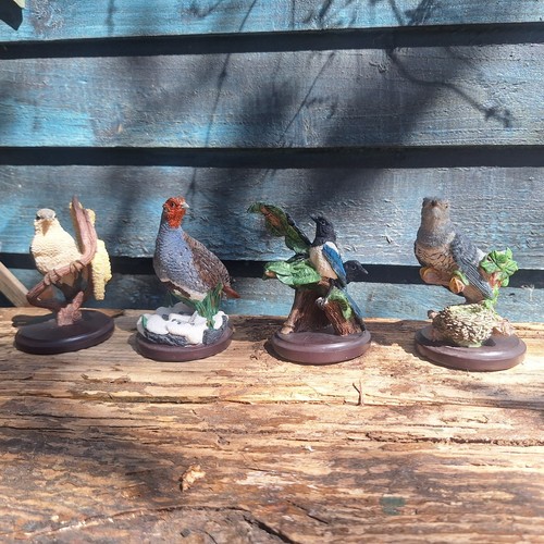 The country bird - the,