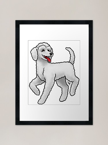 Dog standard poodle - dog, puppy