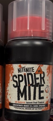 Spider mite killer nite - spider,