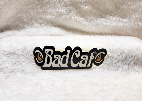 Bad cat amplifiers eyes - cat, *eyes*