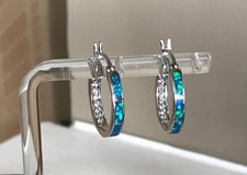 Abalone Shell Hoop Earrings