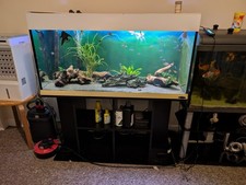 Large Fish Tank Aquarium With