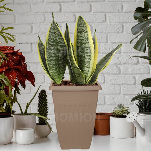 55cm tall plastic - tall, planter