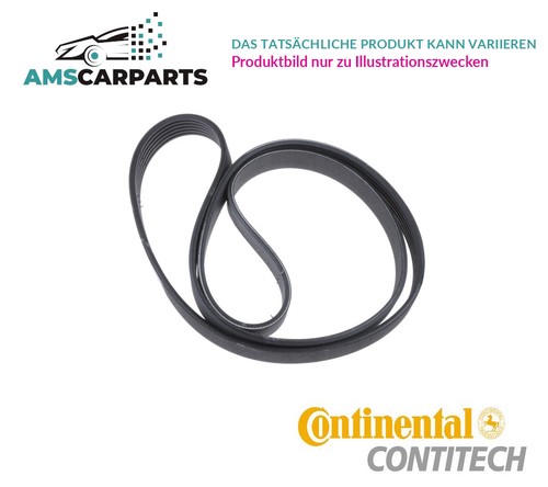 Belt ribbed 6pk1685 - belt,