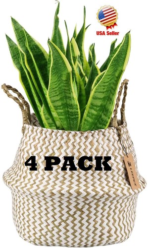 Pack natural craft - 4-pack,