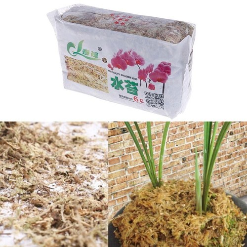 12l dried sphagnum moss - 6/12l,