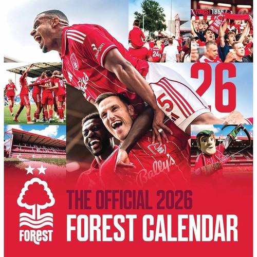 Nottingham forest easel - nottingham,