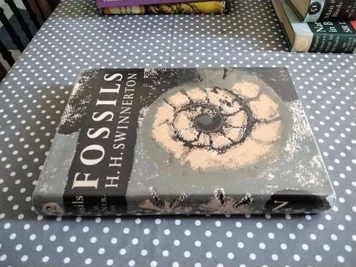 Fossils swinnerton new - by,