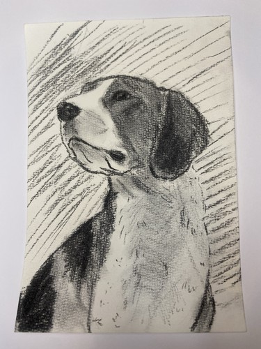 Drawing dog charcoal - of,