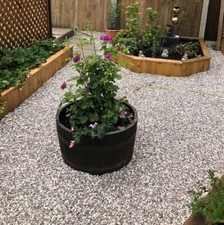 Multi Spar Decorative Gravel