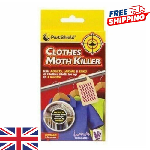 Moth insect killer hanging - moth,