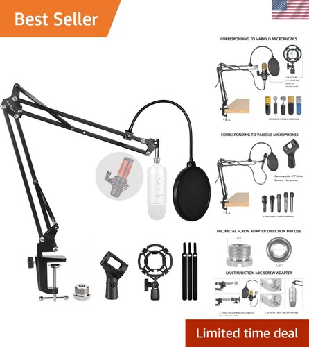 Professional studio microphone - professional,