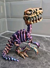 Skeleton Raptor Dinosaur