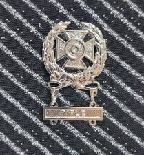 US ARMY Expert Shooting Silver