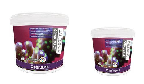 Reeflowers caledonia coral - reeflowers,