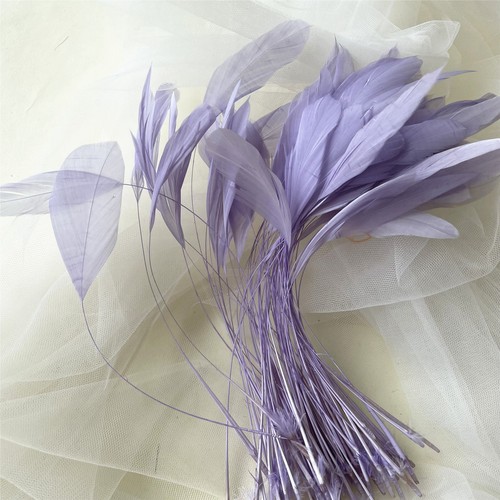 Stripped coque feather - stripped,