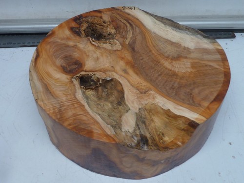 Large figured ripple contrast