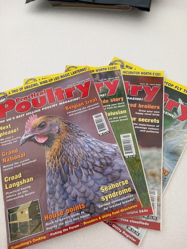 Practical poultry set of 4 - -,