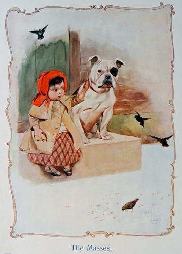 Bulldog british english dog - english,