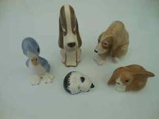 Szeiler dogs, rabbit, cat and