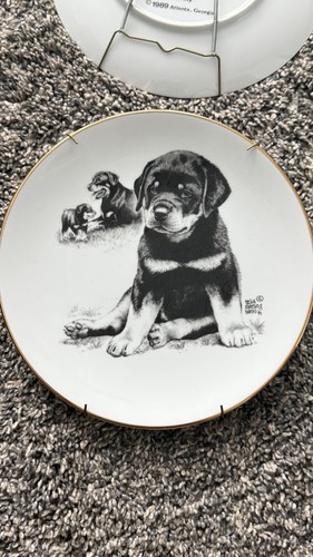 Rottweilers limited edition - limited,