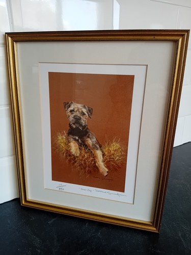 Framed border terrier ltd - border,